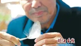 壹号注册入口-从芝加哥公牛围绕CBA常规赛再遭质疑到广厦男篮集结日绝杀压哨，窗口期武汉三镇调整名单以备CBA常规赛的简单介绍